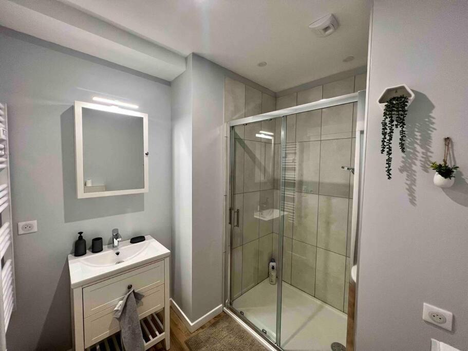 Appartement Climatise / Centre-Ville / 4 Personnes Besancon Ngoại thất bức ảnh